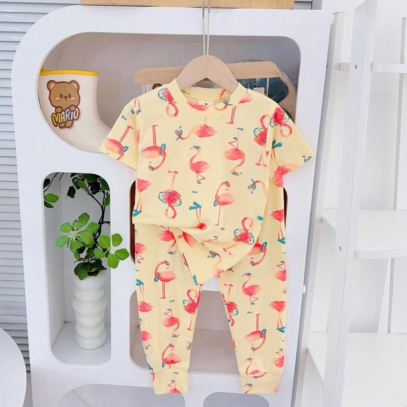 Baby Bizz Big Size 6-10 years old T-Shirt & Pajama set for kids
